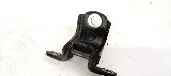 Tailgate/trunk/boot hinge