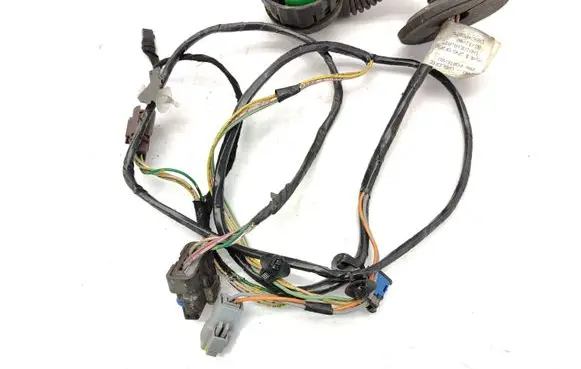 Front door wiring loom