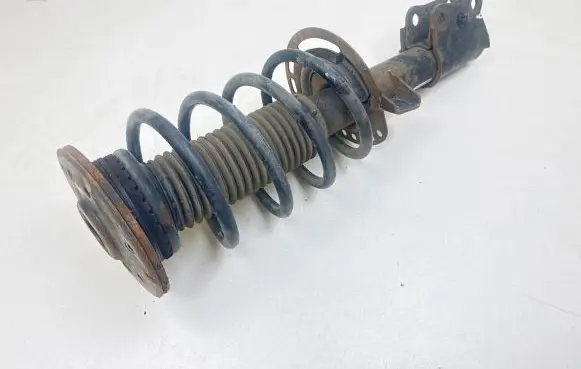 Ford Fusion II Front shock absorber with coil spring 1A16247A DG9C18045