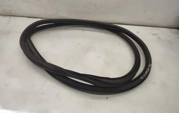 Opel Insignia A Front door rubber seal