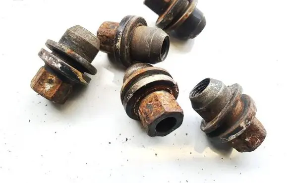 Nuts/bolts
