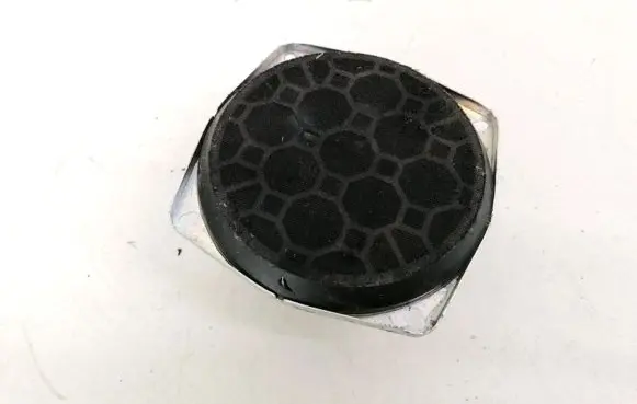 Ford Focus Front door speaker