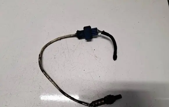 Peugeot 207 Lambda probe sensor 75489618006