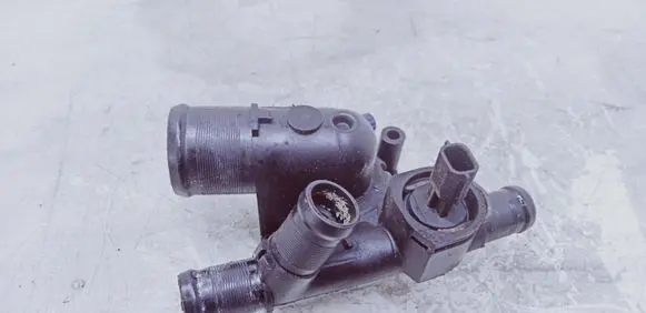 Thermostat/thermostat housing
