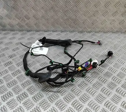 Audi E-tron GT Front door wiring loom 4J3971030G