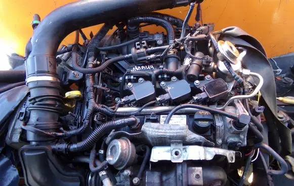 Ford Focus Engine M1DD