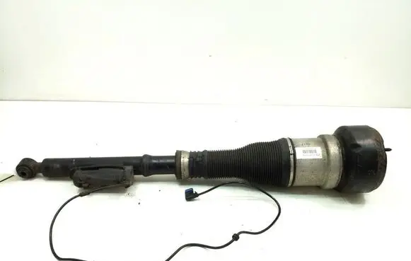 Rear shock absorber/damper