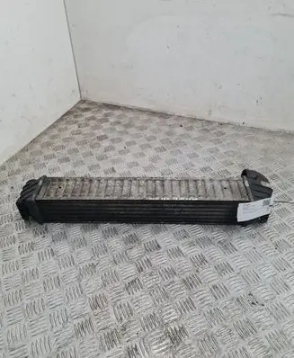 Volkswagen Sharan Intercooler radiator 7M3145805