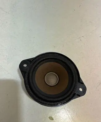 Tesla Model S Panel speaker 100483301A 1000346001
