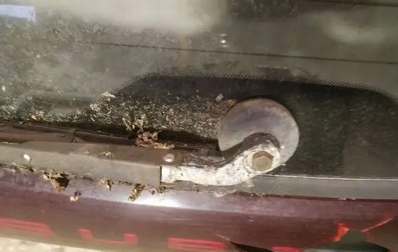 Rear window wiper motor