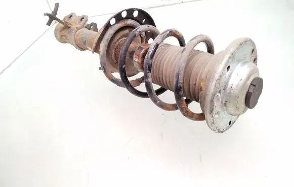 Opel Vectra C Front shock absorber with coil spring 13158660