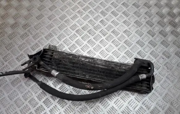 Renault Laguna I Intercooler radiator 849201n