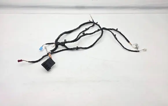 Front door wiring loom