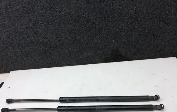Tailgate/trunk strut/damper