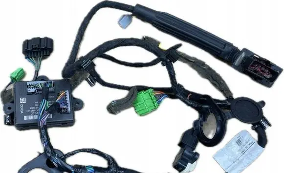 Volvo S60 Rear door wiring loom 31343146