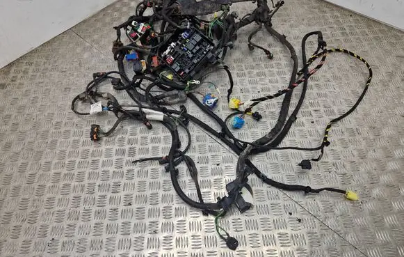 DS Automobiles 4 II Other wiring loom 9834350280 9824443380 9843237580