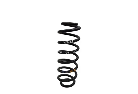 Volkswagen Jetta VI Rear coil spring