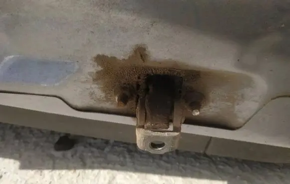Opel Astra H Rear door check strap stopper