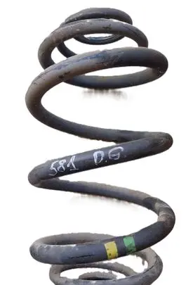 Renault Trafic II (X83) Rear coil spring 8200298738 550202870R