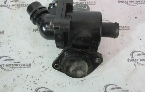 Thermostat/thermostat housing