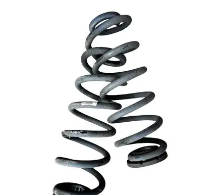 Rear coil spring