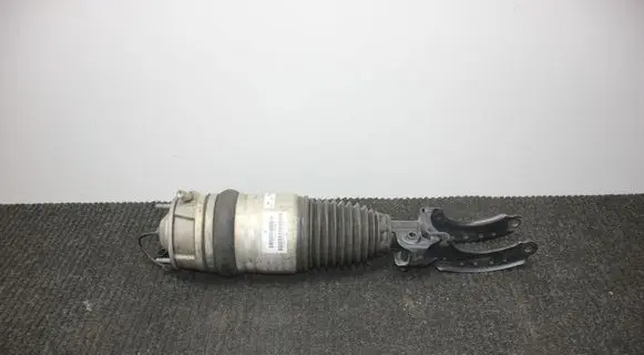 Porsche Cayenne (92A) Front shock absorber/damper 7P5616039AC