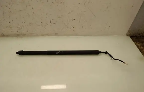 Tailgate/trunk strut/damper