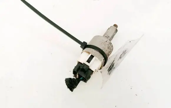 Toyota RAV 4 (XA30) Brake pedal sensor switch