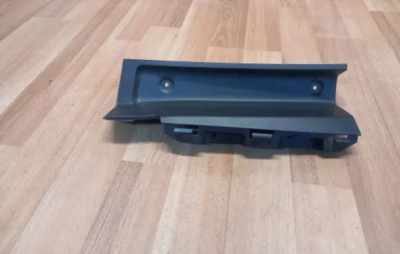 Rear/tail light trim molding