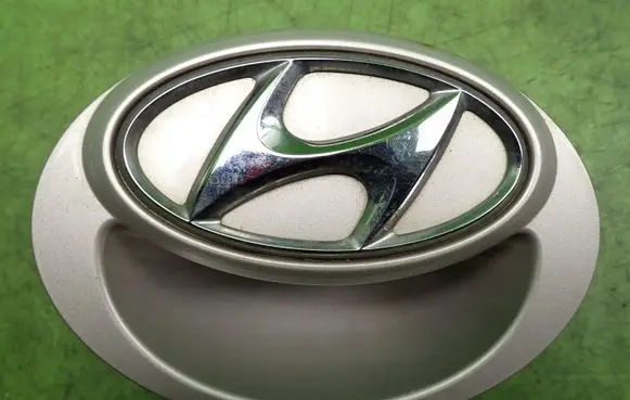 Hyundai i20 (PB PBT) Rear door handle trim 