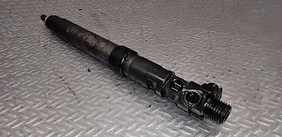 Citroen C5 Fuel injector 9686191080