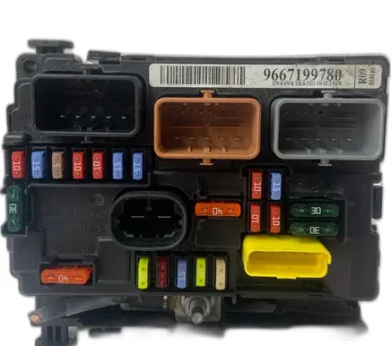 Peugeot 207 Fuse box set 9667199780 R09