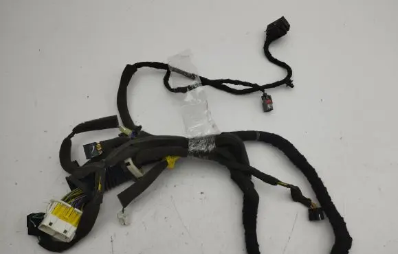 Opel Antara Front door wiring loom 95491034