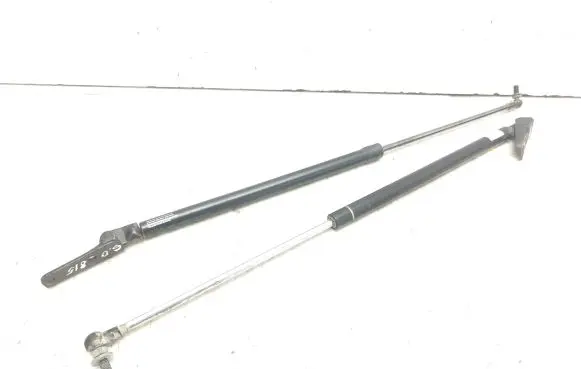 Subaru Outback Tailgate/trunk strut/damper 91546485N 1309236