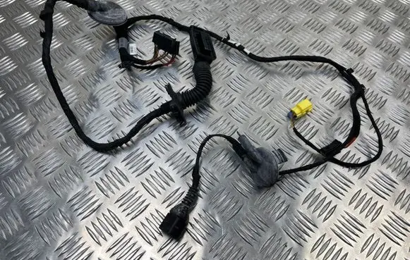 Front door wiring loom