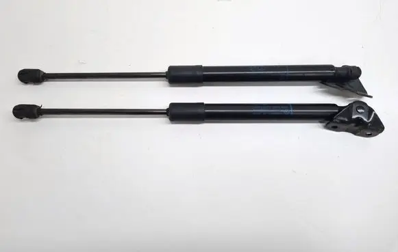Opel Crossland X Tailgate strut 9581810615N