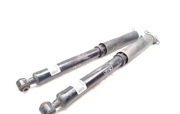 Ford Puma Rear shock absorber/damper L1TC-18080-LF