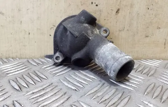 Thermostat/thermostat housing