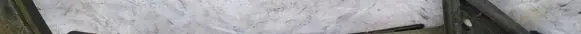 Mazda Xedos 9 Front door glass trim molding 