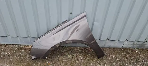 Peugeot 308 Fender