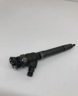 Renault Scenic III - Grand scenic III Fuel injector 0445110414 H1055367