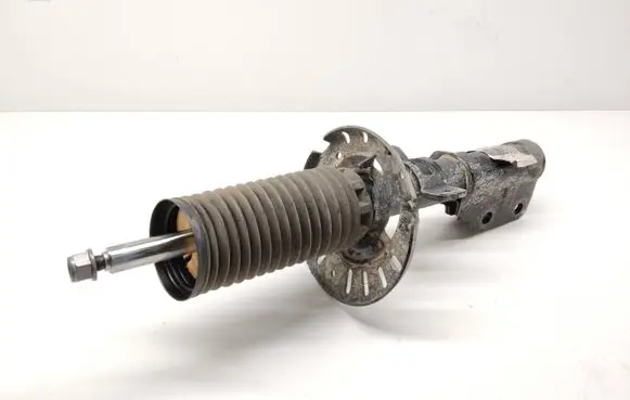 Opel Grandland X Front shock absorber/damper 9819718680