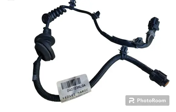 Other wiring loom