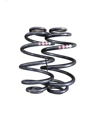 Rear coil spring