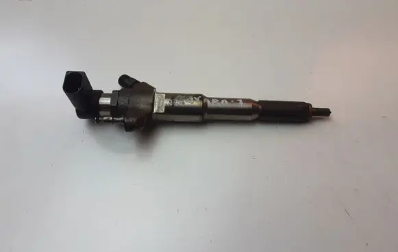 Nissan Navara D23 Fuel injector 166000372R