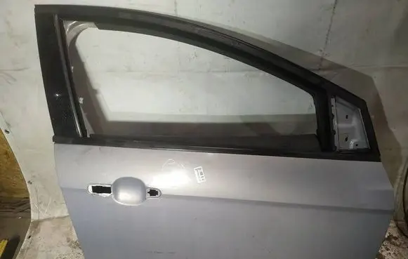 Ford Focus Front door pilkos