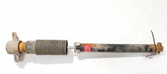 Fiat Punto (188) Rear shock absorber/damper 343459
