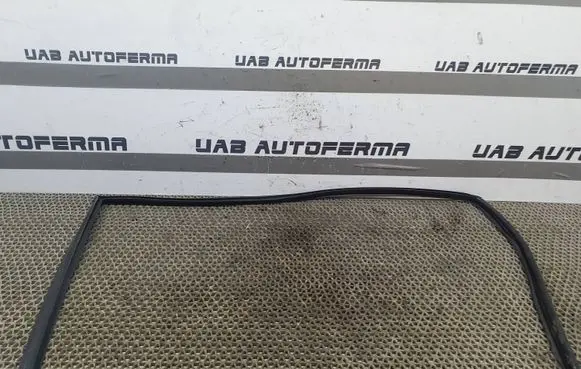 KIA Rio Rubber seal front door window/glass 
