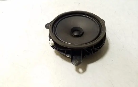 Rear door speaker