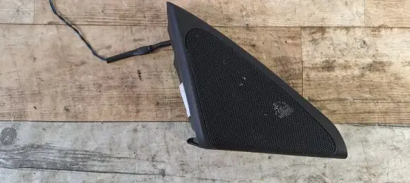 Front door high frequency speaker